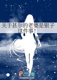 关于甚尔的老婆是银子这件事38