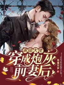 满级大佬穿成炮灰女主