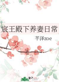 宸王殿下