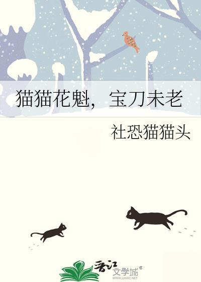 猫猫古今花魁故事