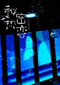 秘密恋情是什么意思