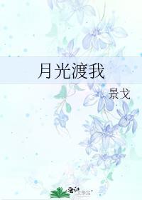 月光渡我 景戈讲的什么