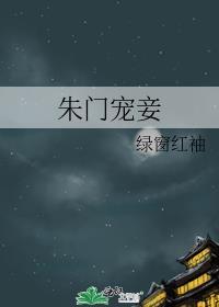 朱门宠妾绿窗红袖33