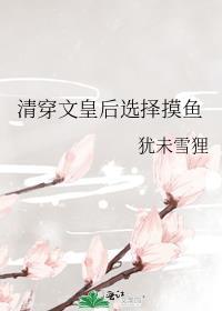 清穿之皇后文婉免费阅读
