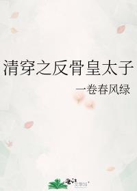 清穿之反派