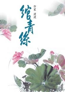 绾青丝讲的是什么故事