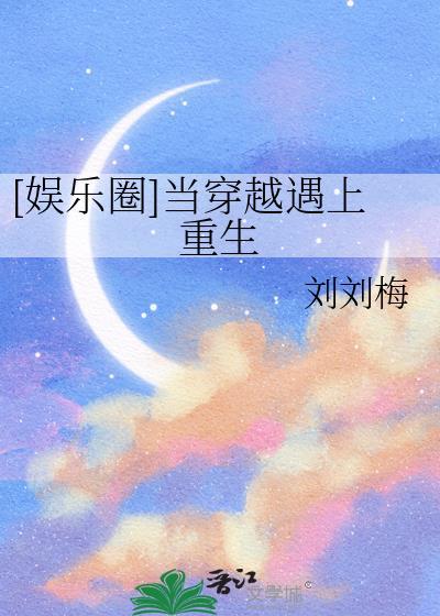当穿越遇到重生系列