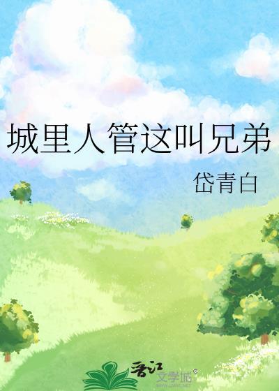 城里人管这叫兄弟txt