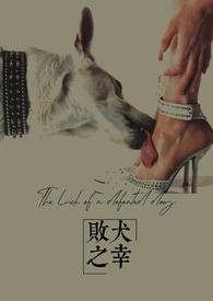 败犬之街