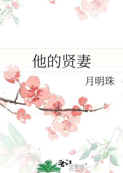 他的贤妻内容