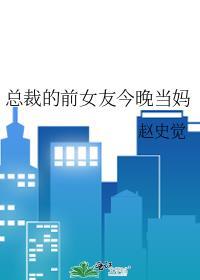 总裁的前女友今晚当妈赵史觉