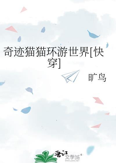 奇迹猫咖