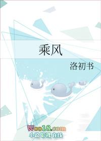 乘风好去长空直下看山河的意思