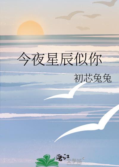 今夜星辰似你免费播放