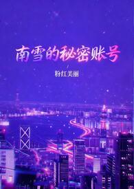 南雪的秘密帐号全文免费阅读