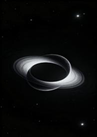 双星模型引力