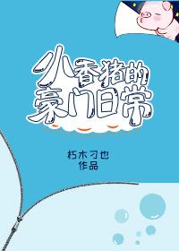 小香猪宠物猪