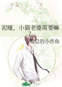 给猫咪找媳妇