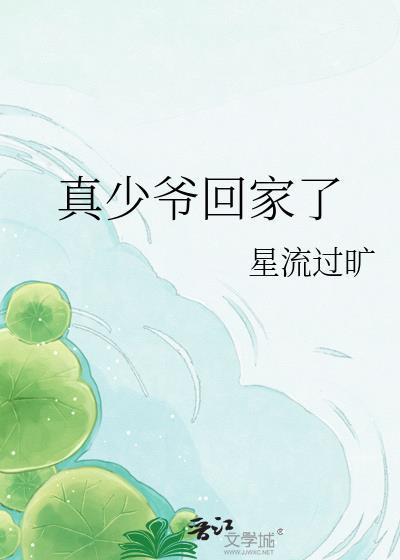 真少爷回家了txt番外