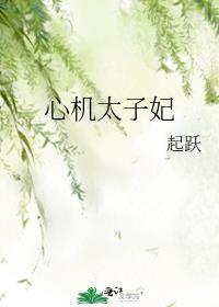 心机太子妃全文免费阅读