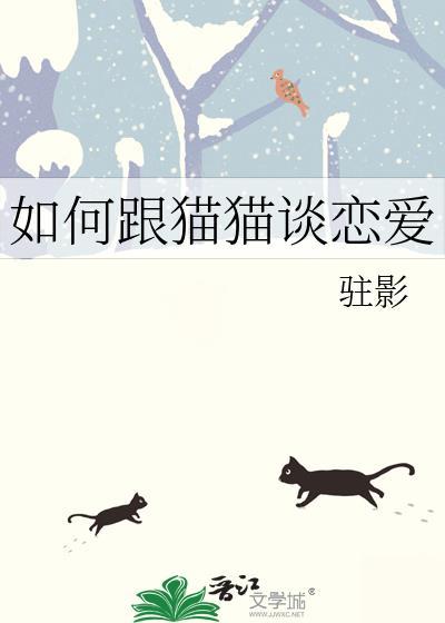 如何跟猫猫谈恋爱聊天
