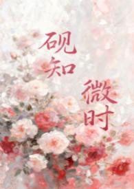 砚砚的意思