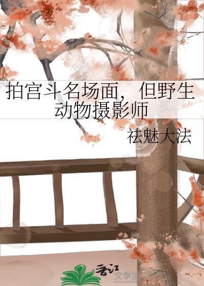 野生动物摄影师危险吗