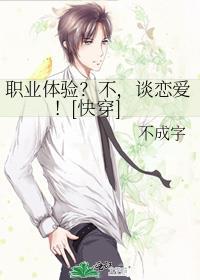 职业体验有什么