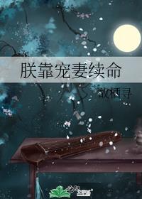 朕靠宠妻续命讲什么