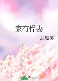 家有悍妻不好惹