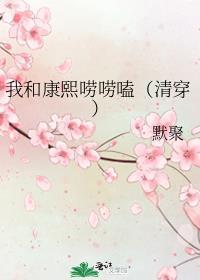 红楼之林夫人佛系日常