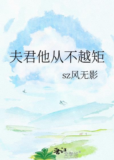 夫君他从不越矩免费阅读