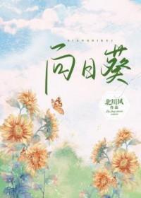 向日葵披露董事会非独立董事公告