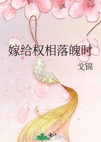 嫁给首辅这个老