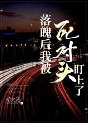 落魄后我被死对头盯上txt