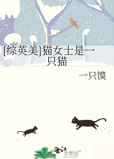 综英美猫女士是一只猫