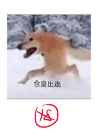 沦为废文