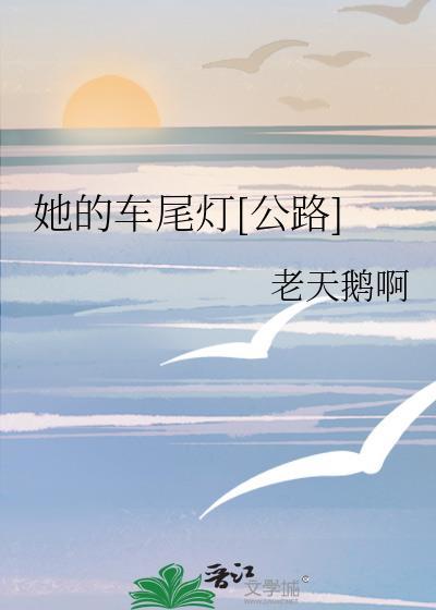 她的车尾灯TXT
