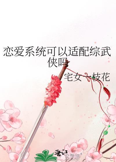 恋爱系统可以适配综武侠吗作者宅女一枝花