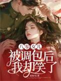 我却笑了结局是什么