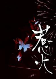 惹火讲什么