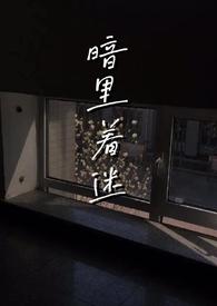 暗里着迷伪np