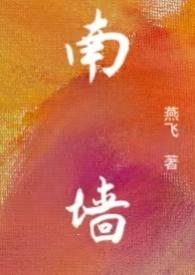 女主叫南墙的
