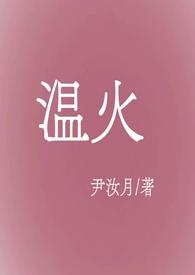 温火炖肉作者全部