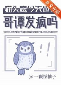 哥谭猫头鹰夫人
