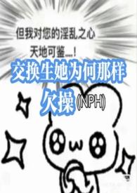交换生0.52a