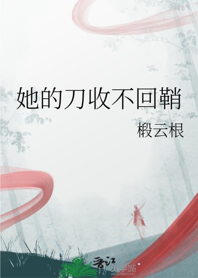 她的刀收不回鞘TXT
