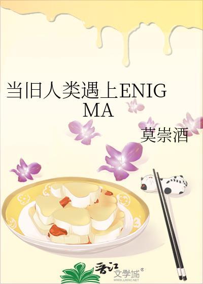 当旧人类遇上enigma