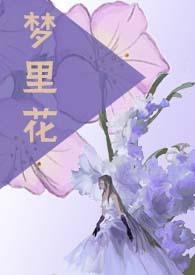 梦里花歌词解读