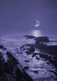 暗夜深海 电视剧